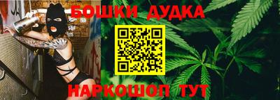 МДПВ Пенза